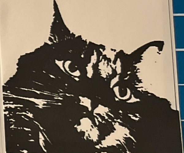 Custom Animal Photo (Read Desription)